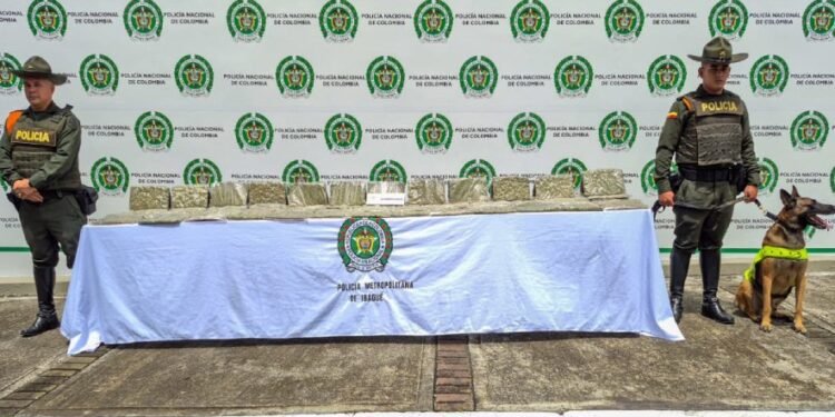 ‘Rex’ olfateó encomienda con 19 kilos de marihuana