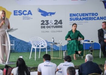 «La minería ilegal amenaza la vida, la seguridad y el futuro del territorio tolimense”: directora de Cortolima