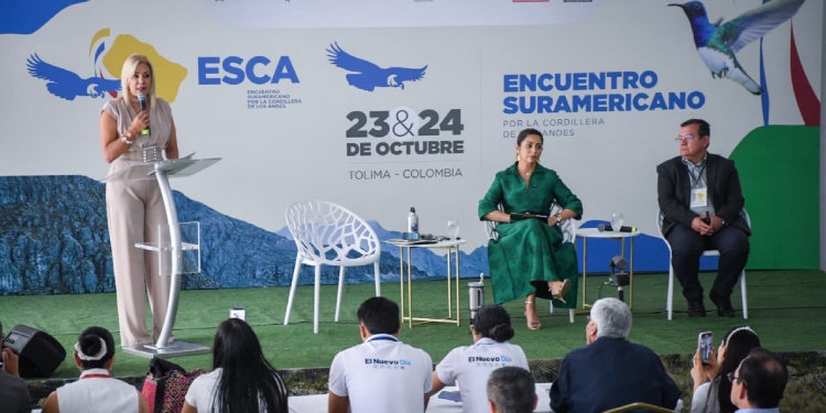 «La minería ilegal amenaza la vida, la seguridad y el futuro del territorio tolimense”: directora de Cortolima