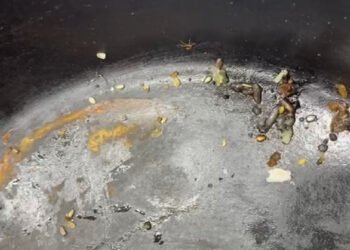 Cerraron el restaurante Noveno Cielo por presencia de plagas