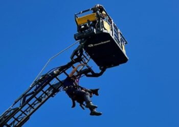 Bomberos realizará el primer simulacro de incendios de gran altura este miércoles