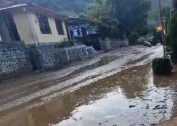 Hacen llamado a Cortolima para arrojar material que dejó la palizada en el sector de Berlín, afectado por la creciente de tres quebradas