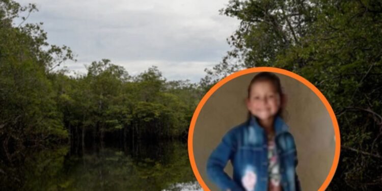 Desaparece niña de 11 años tras creciente del río Blanco en Gutiérrez, Cundinamarca