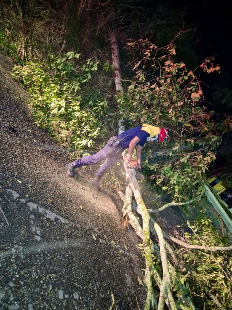 La imagen tiene un atributo ALT vacío; su nombre de archivo es WhatsApp-Image-2025-11-09-at-10.37.09-PM-768x1024.jpeg