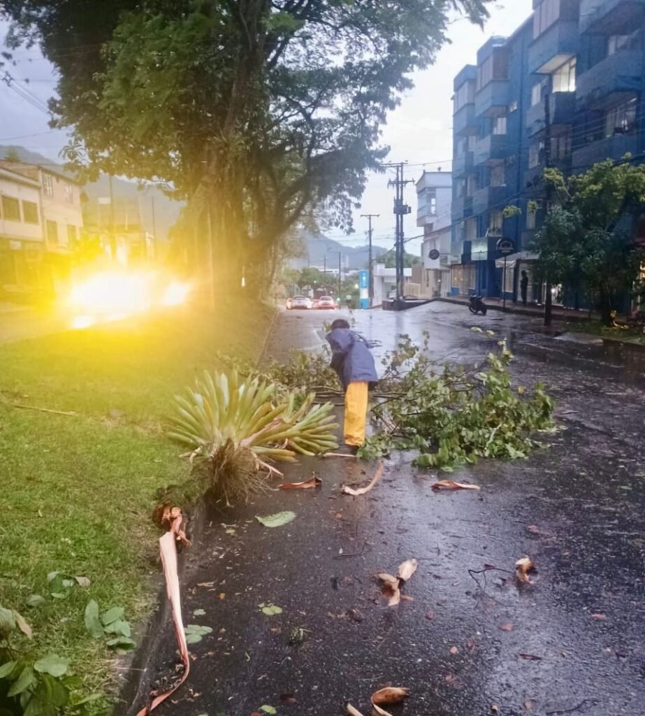 La imagen tiene un atributo ALT vacío; su nombre de archivo es WhatsApp-Image-2025-11-09-at-10.37.11-PM-923x1024.jpeg