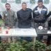 Enviados a la cárcel presuntos responsables de tener un laboratorio para cultivo de Cannabis