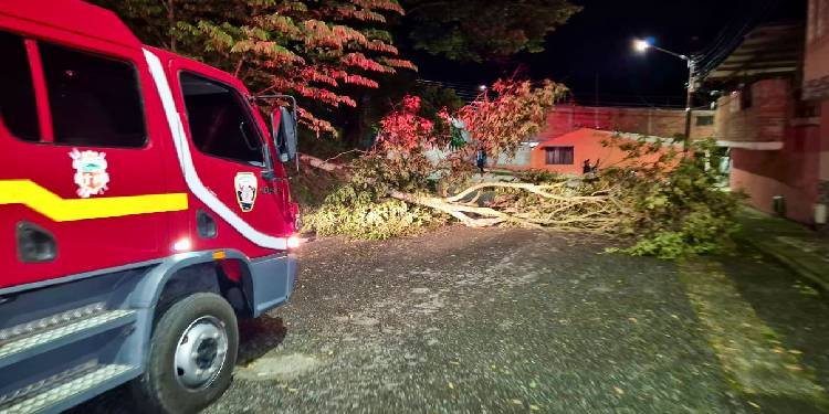 Lluvias de este domingo causaron inundaciones y caída de árboles en varios sectores de la ciudad