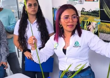 Ibagué vivirá la primera edición del Departamental del Arroz en el parque Murillo Toro