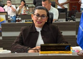 Concejal Sandra Varón denuncia posibles irregularidades en el alumbrado público de Ibagué 