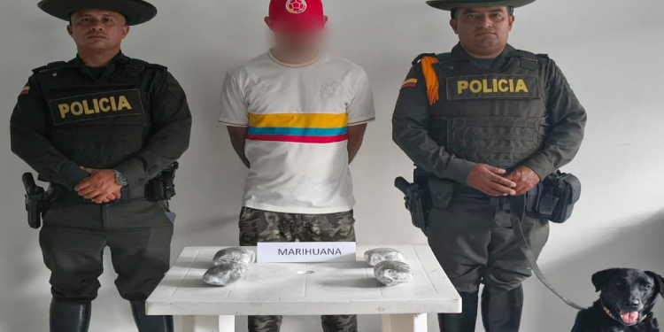 ‘Osaka’ olfateó la marihuana que llevaba pasajero en una caja