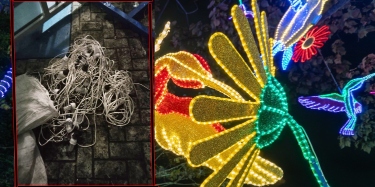 Capturado sujeto que robaba elementos del alumbrado navideño en Ibagué