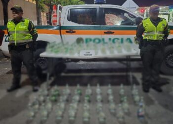 90 botellas de licor de contrabando fueron incautadas en carreteras del Tolima