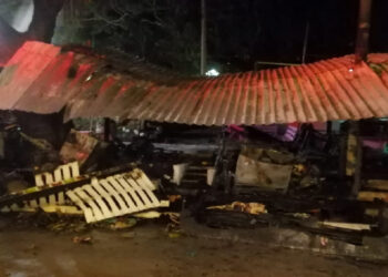 Incendio afectó cuatro emprendimientos en el parque San Bernardino