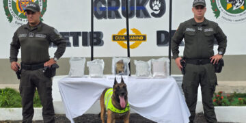 Policía incautó 12 libras de marihuana una encomienda