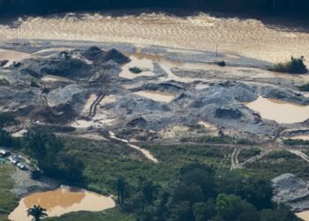 Más de 230 hectáreas de bosque arrasadas por minería ilegal en Ataco