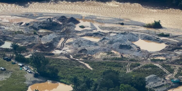 Más de 230 hectáreas de bosque arrasadas por minería ilegal en Ataco