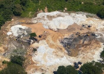 Más de 230 hectáreas de bosque arrasadas por minería ilegal en Ataco