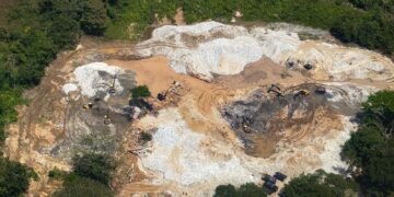 Más de 230 hectáreas de bosque arrasadas por minería ilegal en Ataco