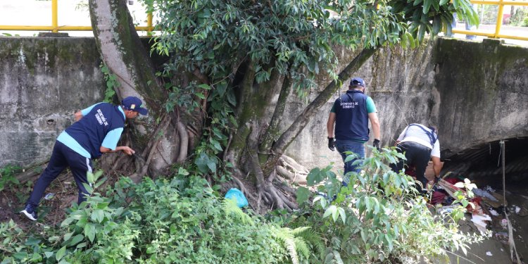 Autoridades desmontaron cambuche debajo del puente del barrio La Libertad