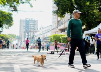 Durante el Día sin carro y sin moto 179 conductores fueron sancionados