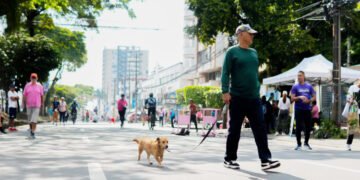 Durante el Día sin carro y sin moto 179 conductores fueron sancionados