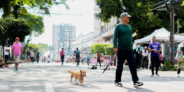 Durante el Día sin carro y sin moto 179 conductores fueron sancionados