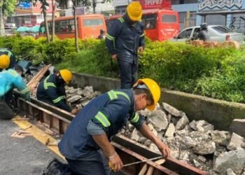 Alcaldía de Ibagué prevé entregar intervención de andenes en la carrera Quinta en dos semanas