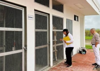 Alta población animal y presenta limitaciones en el suministro de alimento encontró la Personería en el CAPA