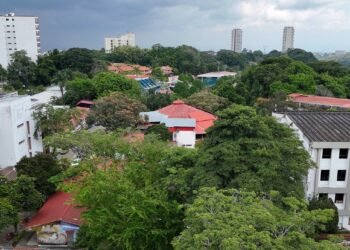 Cinco personas se inscribieron en la convocatoria para la elección de rector o rectora de la Universidad del Tolima
