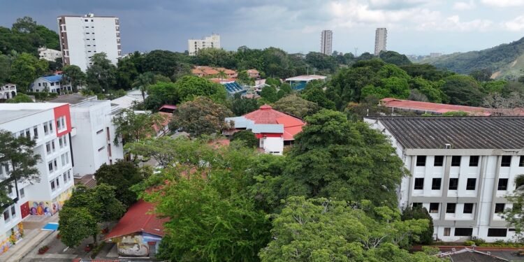 Cinco personas se inscribieron en la convocatoria para la elección de rector o rectora de la Universidad del Tolima