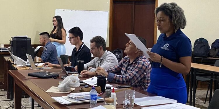 Escrutinios departamentales en el Tolima alcanzan el 57 %