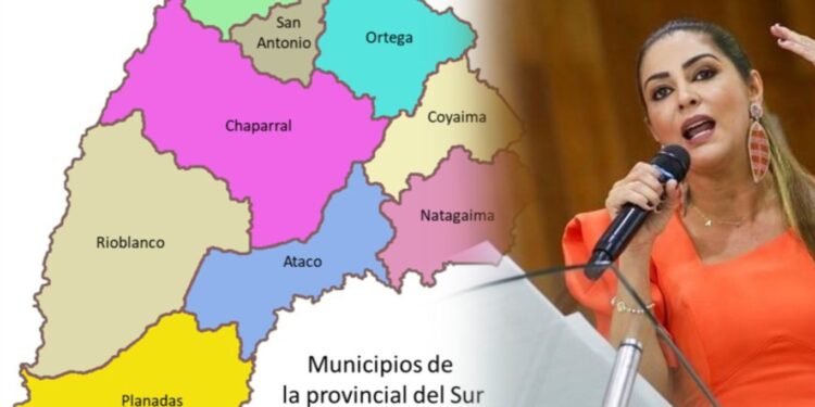 Sur del Tolima bajo vigilancia especial, autoridades mantienen PMU permanente por elecciones