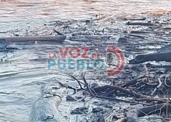 Macabro hallazgo en el río Magdalena: cuerpo apareció atrapado en palizada