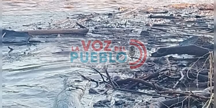 Macabro hallazgo en el río Magdalena: cuerpo apareció atrapado en palizada