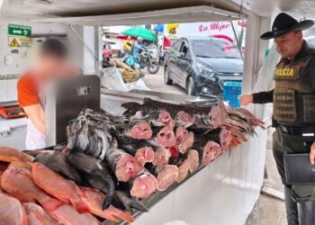 Incautaron más de 21 kilos de pez basa en la plaza de la 28 en Ibagué