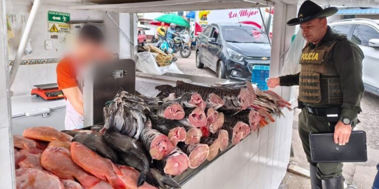 Incautaron más de 21 kilos de pez basa en la plaza de la 28 en Ibagué