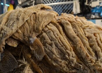 Manchas, mal olor, exposición al ambiente y falta de empaque, advertencias para comprar pescado seco