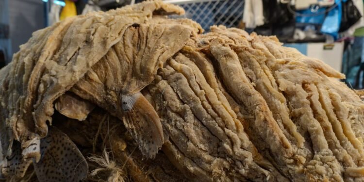 Manchas, mal olor, exposición al ambiente y falta de empaque, advertencias para comprar pescado seco