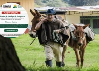 Campesinos podrán postularse para recibir predios productivos en Rovira