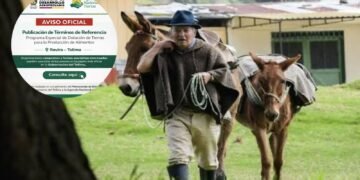 Campesinos podrán postularse para recibir predios productivos en Rovira