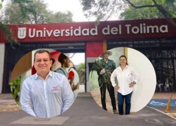 Tres aspirantes a rector de la Universidad del Tolima ‘descabezados’ por no cumplir los requisitos
