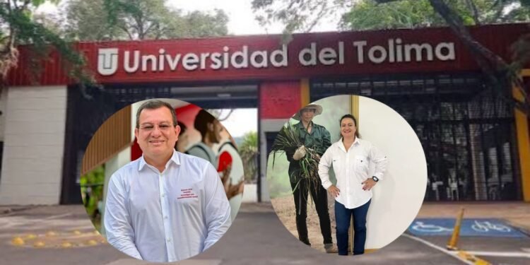 Tres aspirantes a rector de la Universidad del Tolima ‘descabezados’ por no cumplir los requisitos