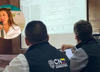 En suspenso la curul de paz del Tolima: CNE no entrega credencial por reclamaciones en escrutinio
