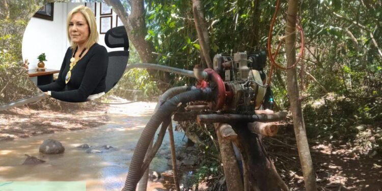 Si sé de algún caso, yo misma denuncio”: directora de Cortolima rechaza señalamientos por minería ilegal