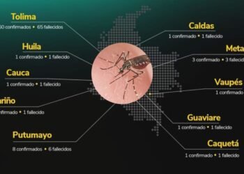 ¡Increíble! Tolima suma tres nuevas víctimas por fiebre amarilla, llegando a 65 fallecimientos
