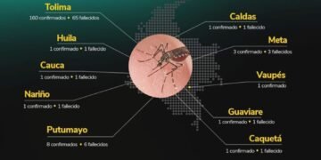¡Increíble! Tolima suma tres nuevas víctimas por fiebre amarilla, llegando a 65 fallecimientos