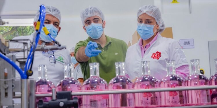 Después de 20 años, el Tolima moderniza su industria licorera con una nueva línea de producción
