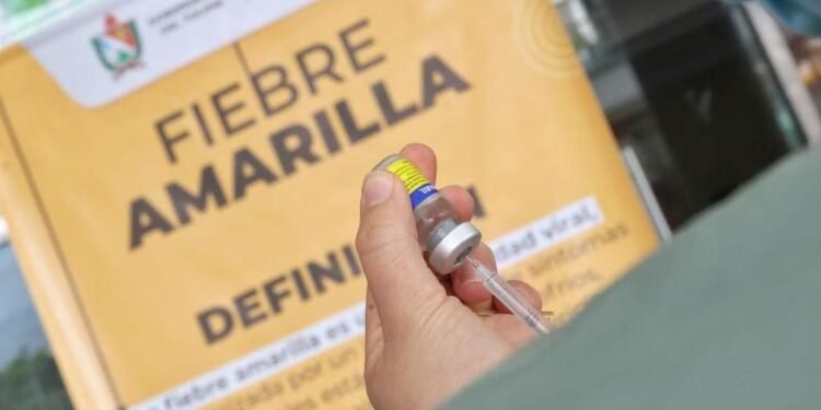Fiebre amarilla sigue avanzando en Tolima, confirman nuevos casos en Carmen de Apicalá, Suárez e Icononzo