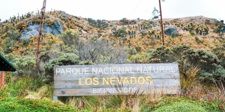 Si va para Los Nevados en Semana Santa, ojo: hay sanciones, controles e inmovilizaciones