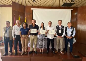 CNE declara la elección de Representantes a la Cámara por el Tolima